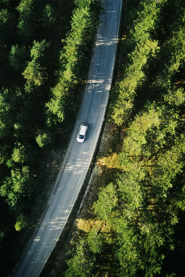 Car driving on a forested highway